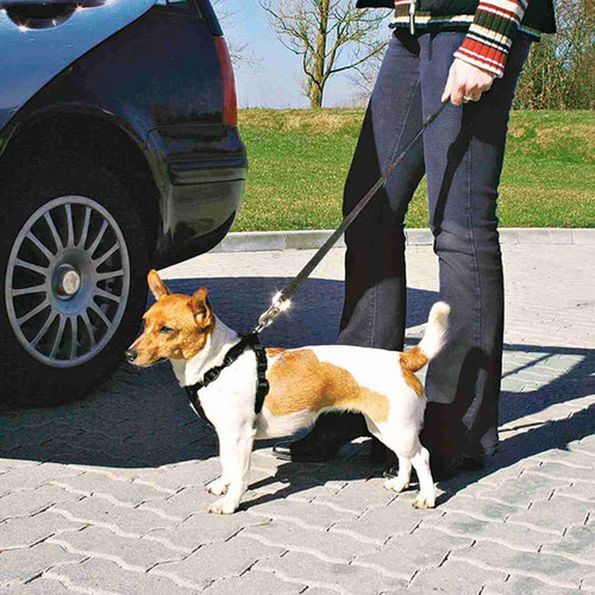 Hundesele Trixie Sort